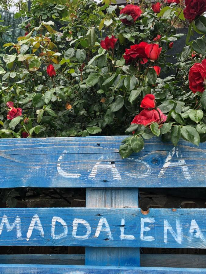Casa Maddalena Daire Vicoforte Dış mekan fotoğraf